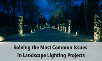 Key Landscape Lighting Problems and the Best Fixtures to Fix Them